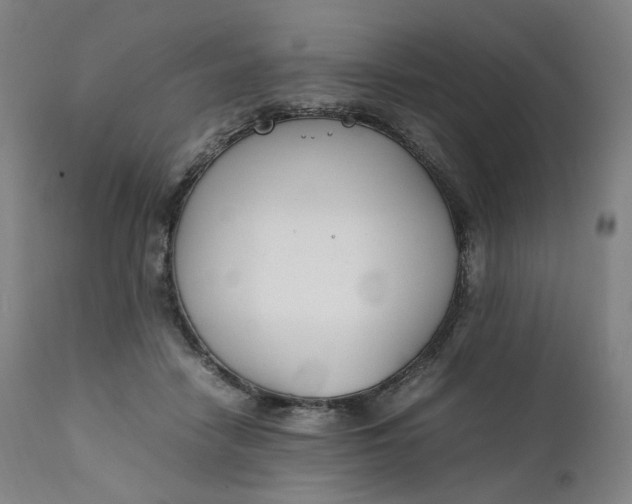 X0000111210458200907151441