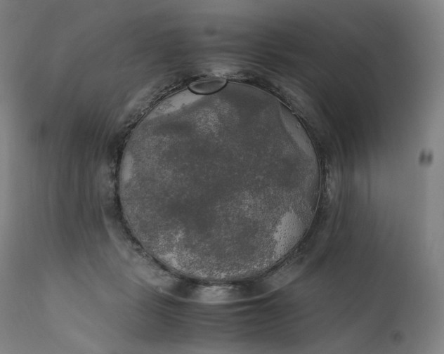 X0000111210461200907151441