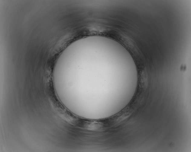 X0000111210463200907151441