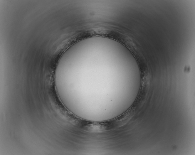 X0000111210464200907151441