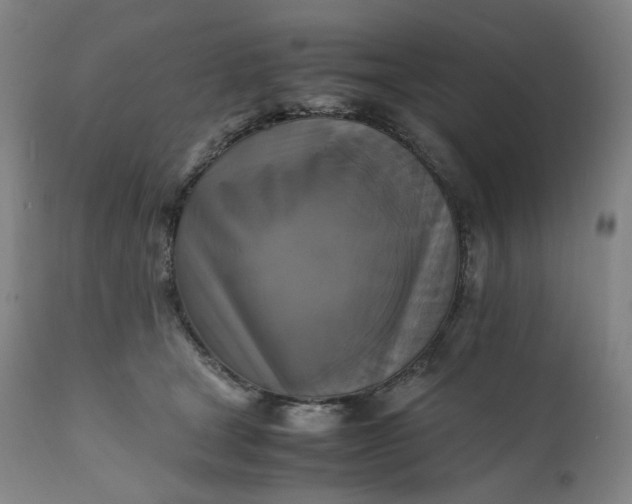 X0000111210465200907151441