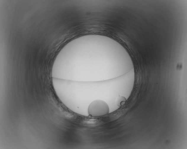 X0000111210467200907151441