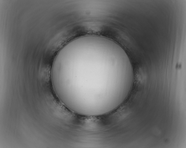 X0000111210468200907151441