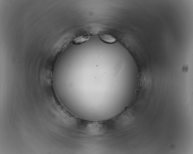 X0000111210470200907151441