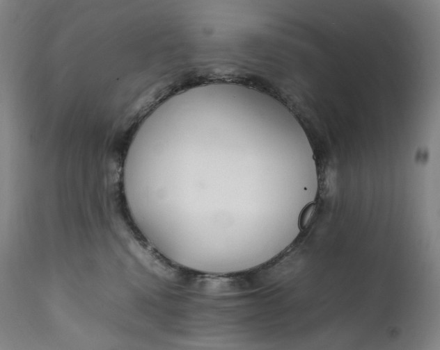 X0000111210472200907151441