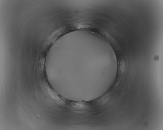 X0000111210475200907151441