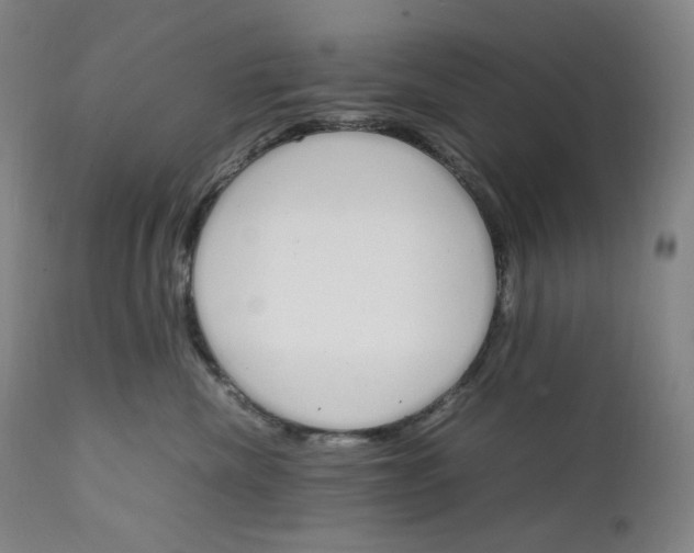 X0000111210476200907151441