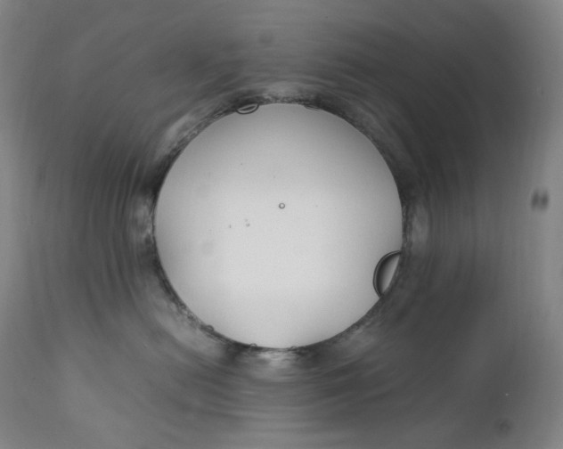 X0000111210478200907151441