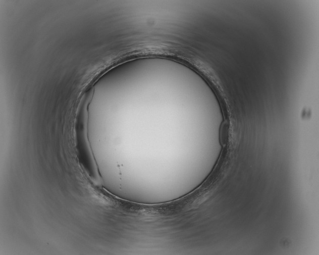 X0000111210481200907151441