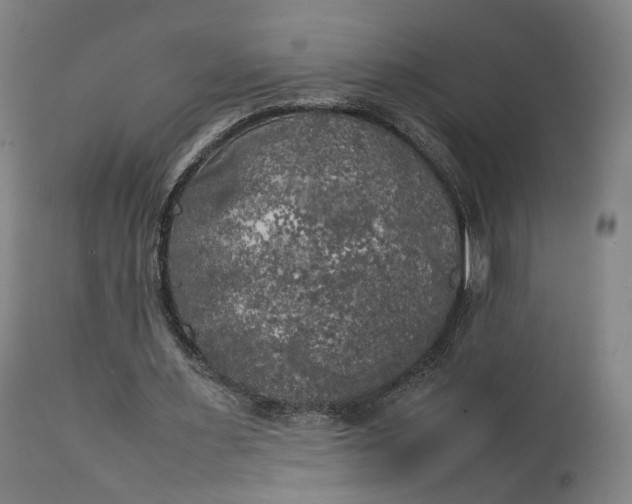 X0000111210483200907151441