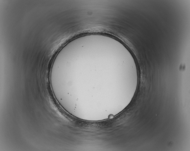 X0000111210485200907151441