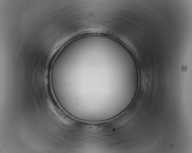 X0000111210486200907151441