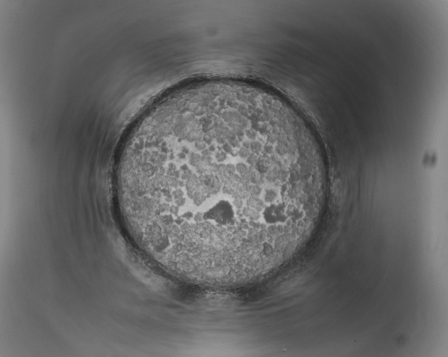 X0000111210487200907151441