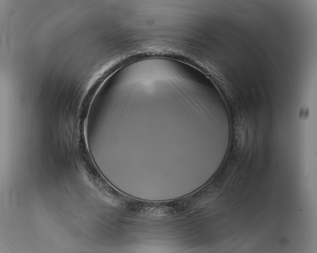 X0000111210488200907151441