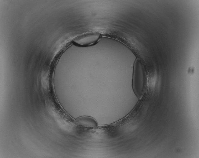 X0000111210492200907151441