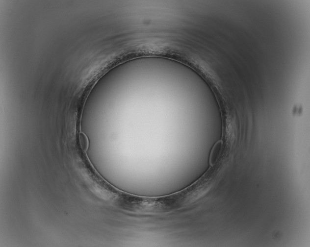 X0000111210493200907151441