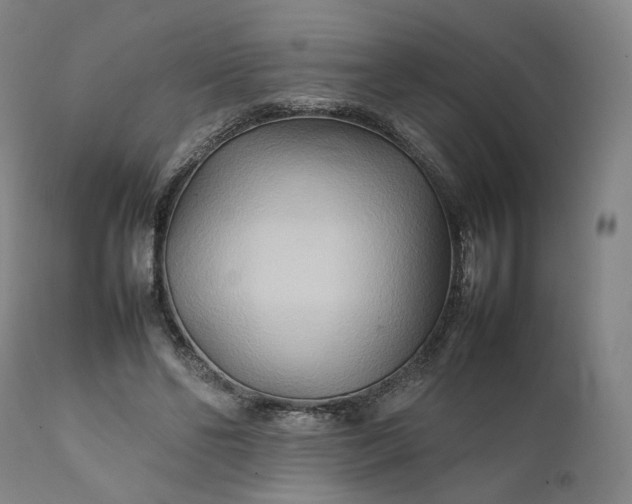 X0000111210494200907151441