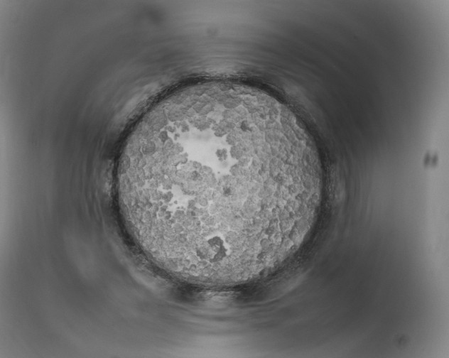 X0000111210495200907151441