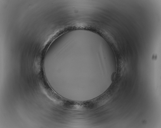 X0000111210496200907151441