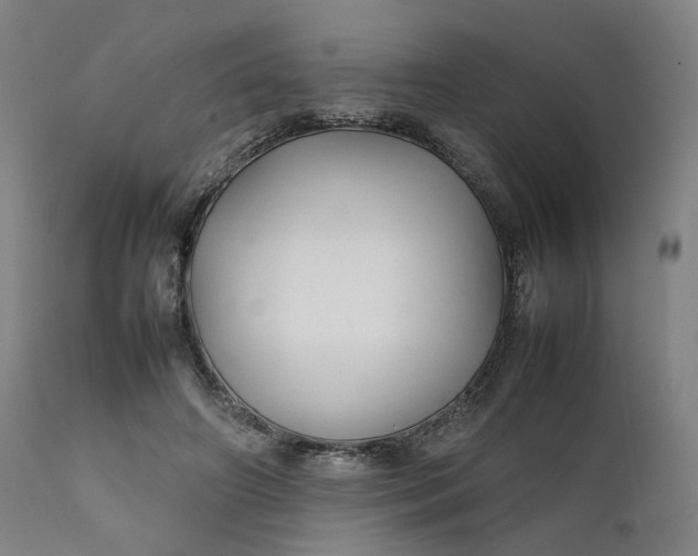 X0000111210498200907151441