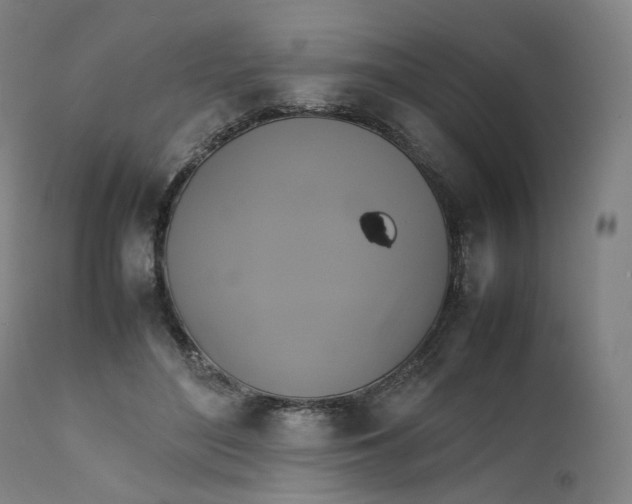 X0000111210500200907151441