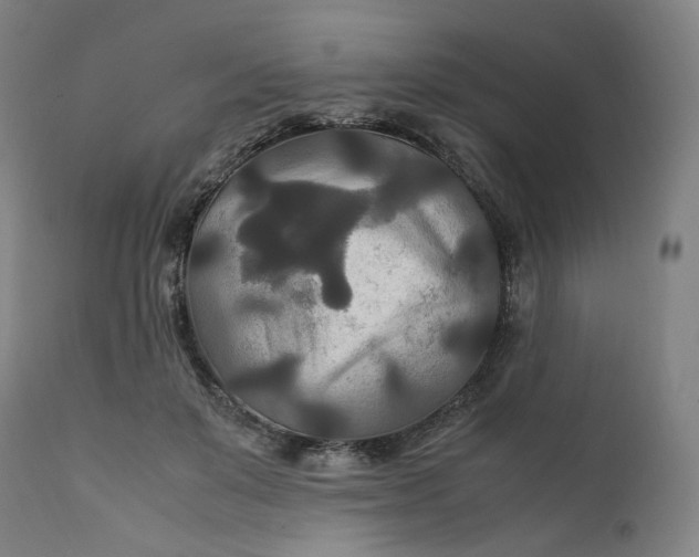 X0000111210503200907151441