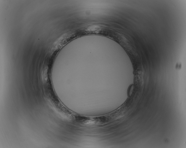 X0000111210504200907151440