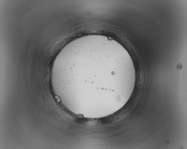 X0000111210505200907151440