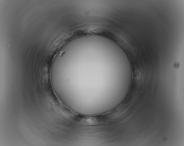 X0000111210506200907151440