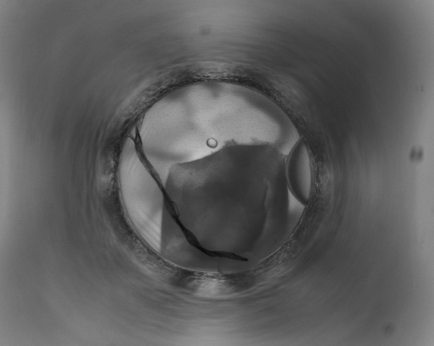 X0000111210507200907151440