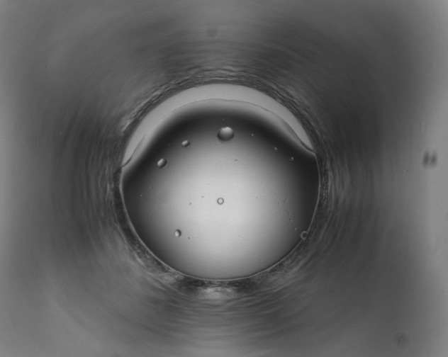 X0000111210508200907151440