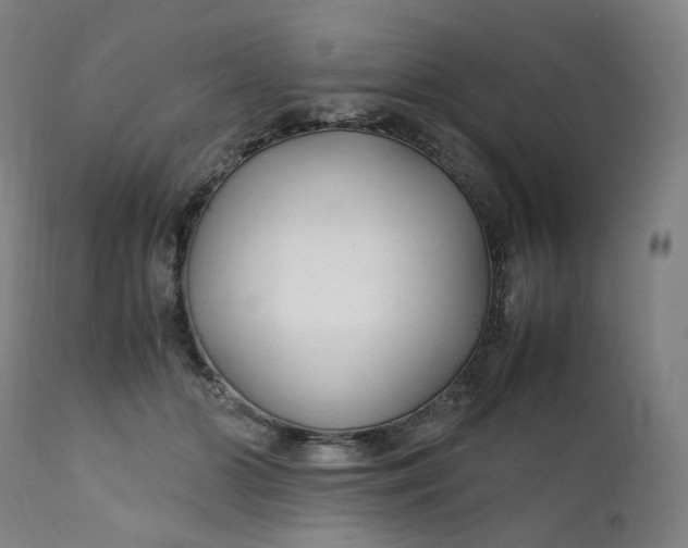 X0000111210510200907151440