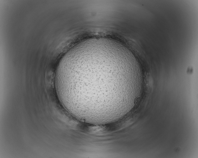 X0000111210511200907151440