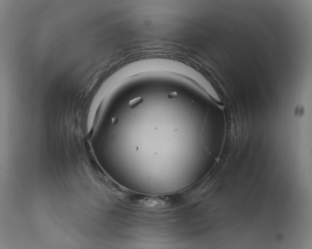 X0000111210512200907151440