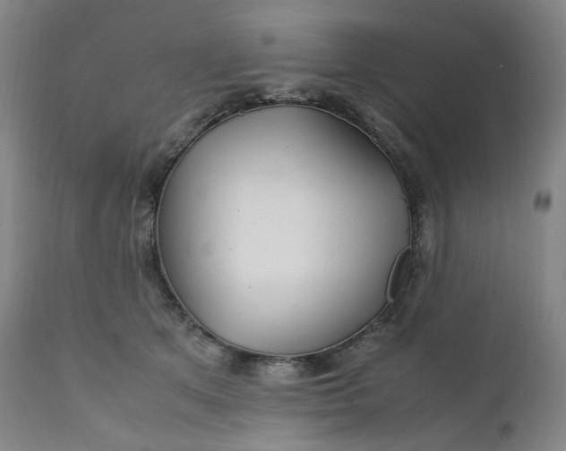 X0000111210513200907151440