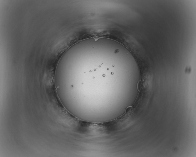 X0000111210515200907151440