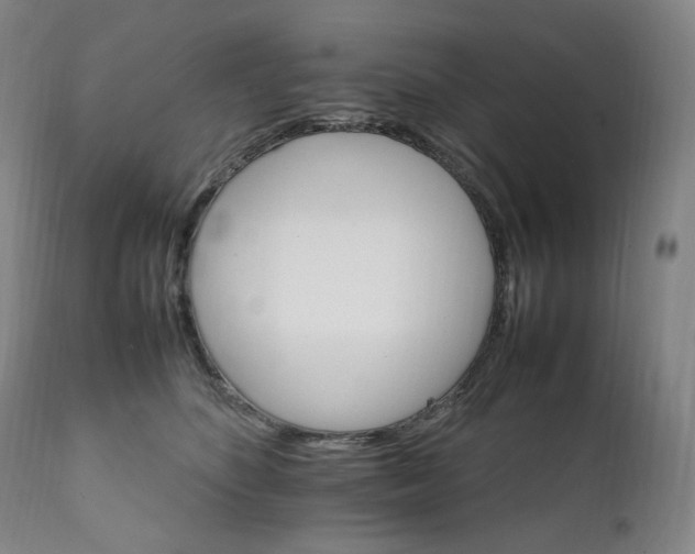 X0000111210516200907151440