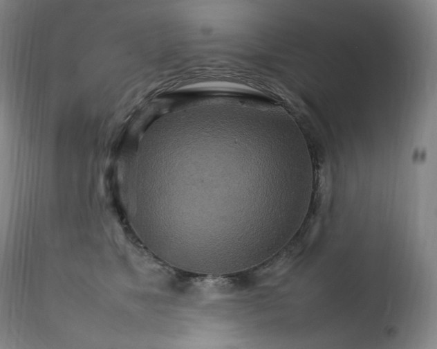 X0000111210517200907151440