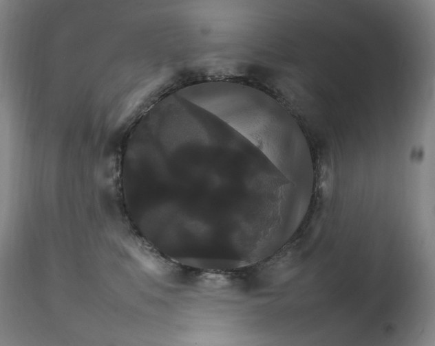 X0000111210519200907151440