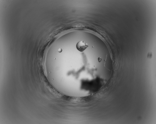 X0000111210521200907151440