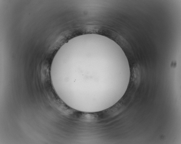 X0000111210522200907151440