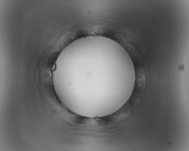 X0000111210523200907151440