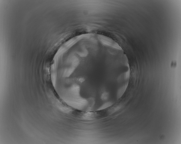 X0000111210527200907151440