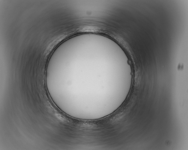 X0000111210529200907151440