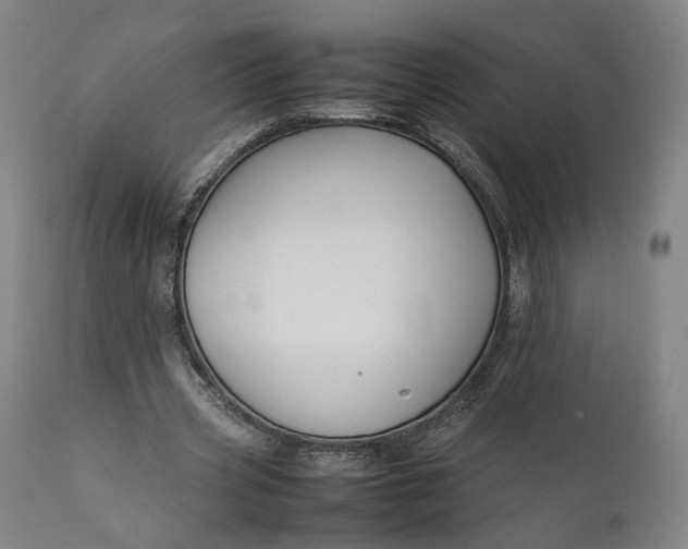 X0000111210533200907151440