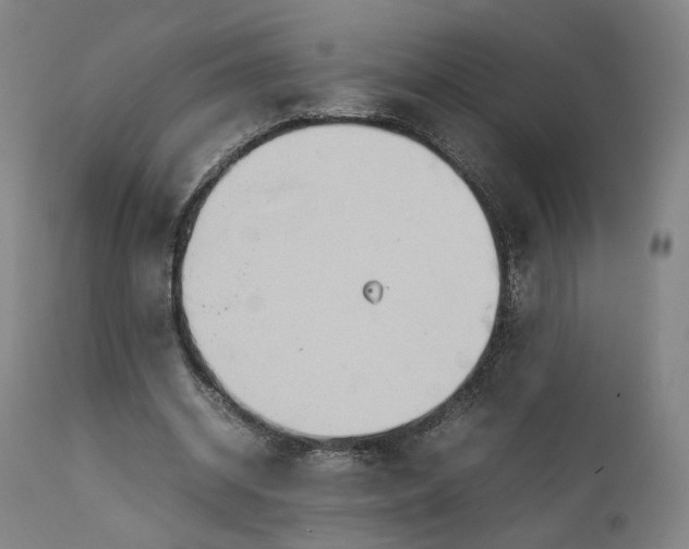 X0000111210534200907151440