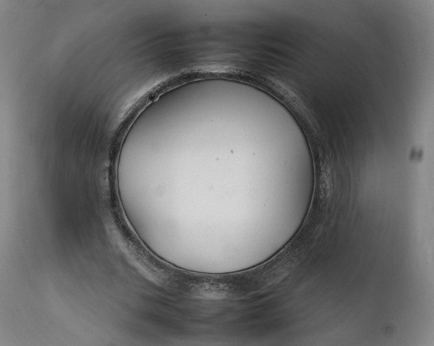 X0000111210535200907151440