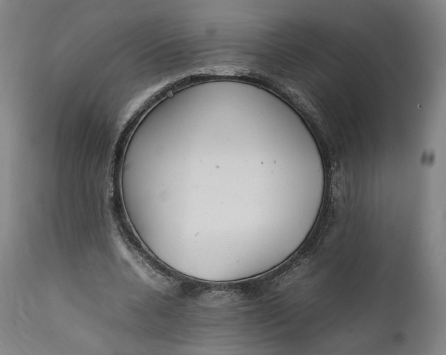 X0000111210536200907151440