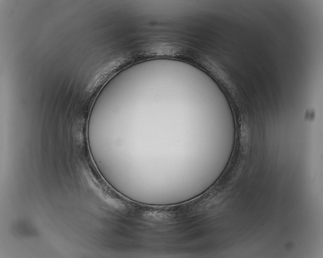 X0000111210537200907151440