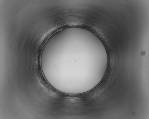 X0000111210539200907151440